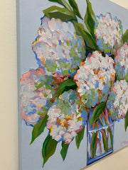 Celebration Hydrangeas
