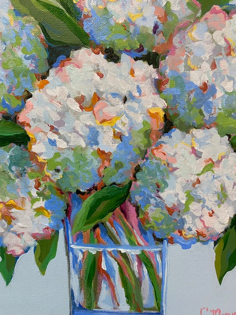 Celebration Hydrangeas