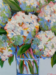 Celebration Hydrangeas