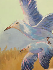 Soaring Seagulls