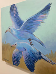 Soaring Seagulls