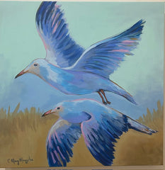 Soaring Seagulls