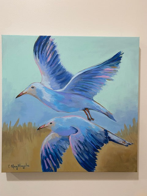 Soaring Seagulls
