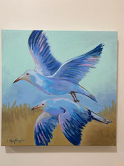 Soaring Seagulls